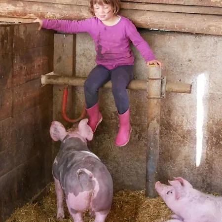 Stockerhof Agroturismo San Lorenzo di Sebato
